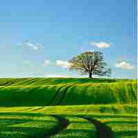 pubg mobile代​充‍平​台﻿